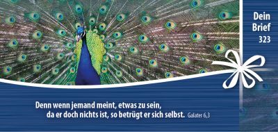 Titelseite: Dein Brief 323