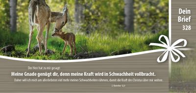 Titelseite: Dein Brief 328