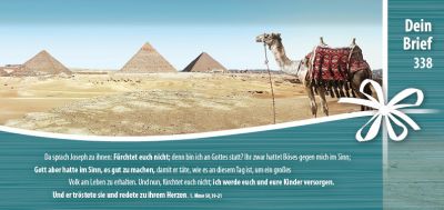 Titelseite: Dein Brief 338