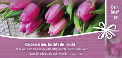 Titelseite: Dein Brief 341