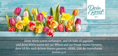 Titelseite: Dein Brief 371