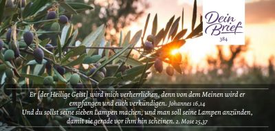 Titelseite: Dein Brief 384