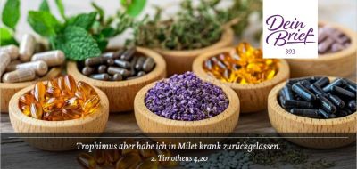 Titelseite: Dein Brief 393