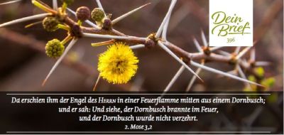 Titelseite: Dein Brief 396